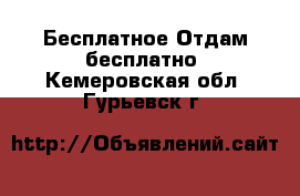 Бесплатное Отдам бесплатно. Кемеровская обл.,Гурьевск г.